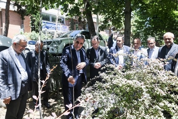 کاشت نهال به یاد دانش‌آموزان میناب در دانشگاه علوم پزشکی شهید بهشتی